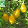 Tomate Poire Jaune BIO