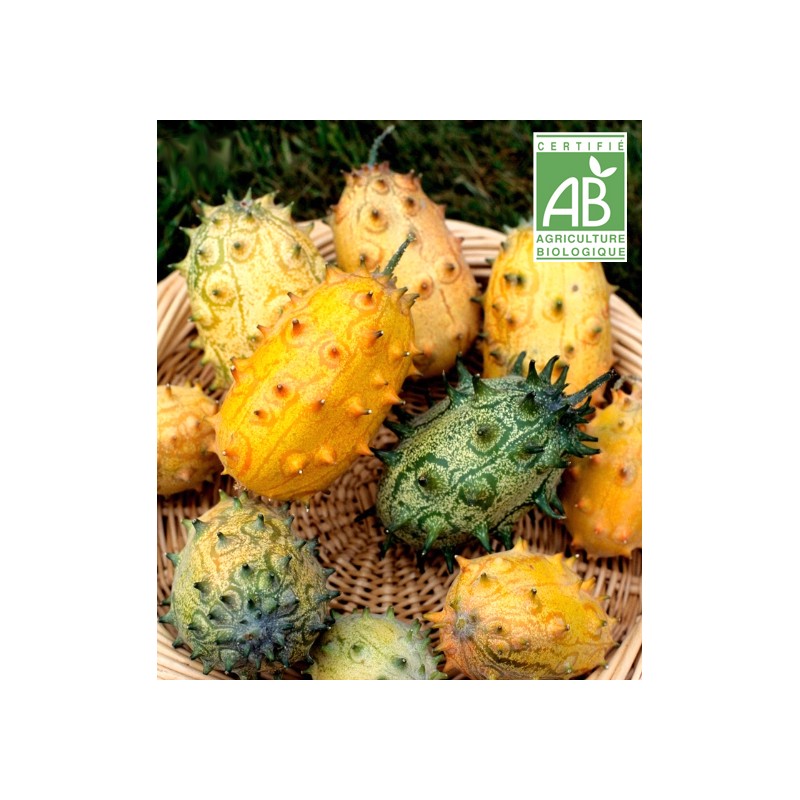 Kiwano