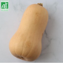 Courge butternut