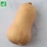 Courge butternut